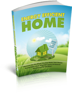 Energy Efficient Home eBook