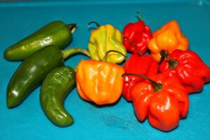 selection chillies