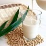 Soya Bean Milk 2W