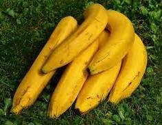 Banana: A Sacred, Nutritious, and Economically Important Fruit