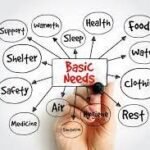 The Struggle for Basic Needs in the 21st Century: Inflation, Fake Products,