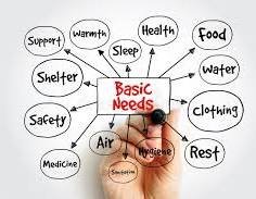 The Struggle for Basic Needs in the 21st Century: Inflation, Fake Products,
