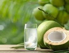 Coconut (Nariyal): A Sacred Fruit with Health, Cultural, and Economic Importance