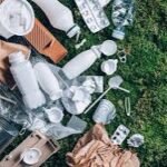 Paper vs Plastic: The Truth Behind Bags, Trees, and Changing Habits