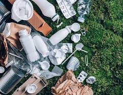 Paper vs Plastic: The Truth Behind Bags, Trees, and Changing Habits