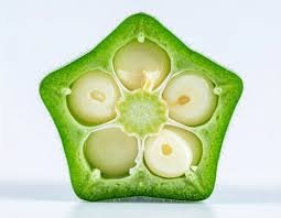 Okra and Okra Seed Coffee: Taste, Nutrition, and Health Benefits